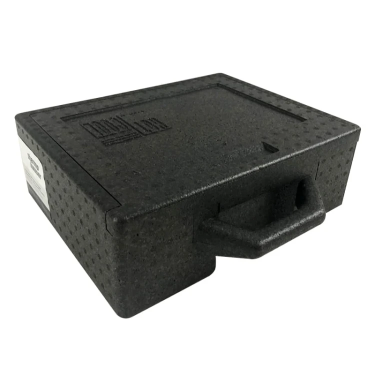 Pojemnik termoizolacyjny Walizka mała 32x24x9cm Thermohauser